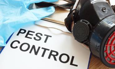 Pest Control Solutions