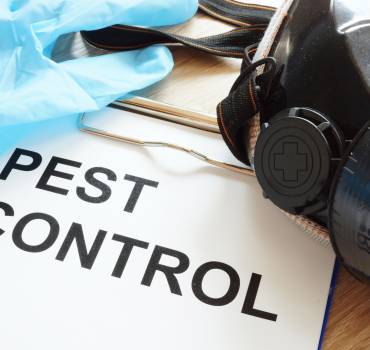 Pest Control Solutions