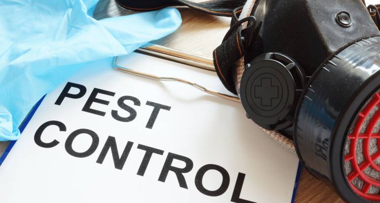 Pest Control Solutions