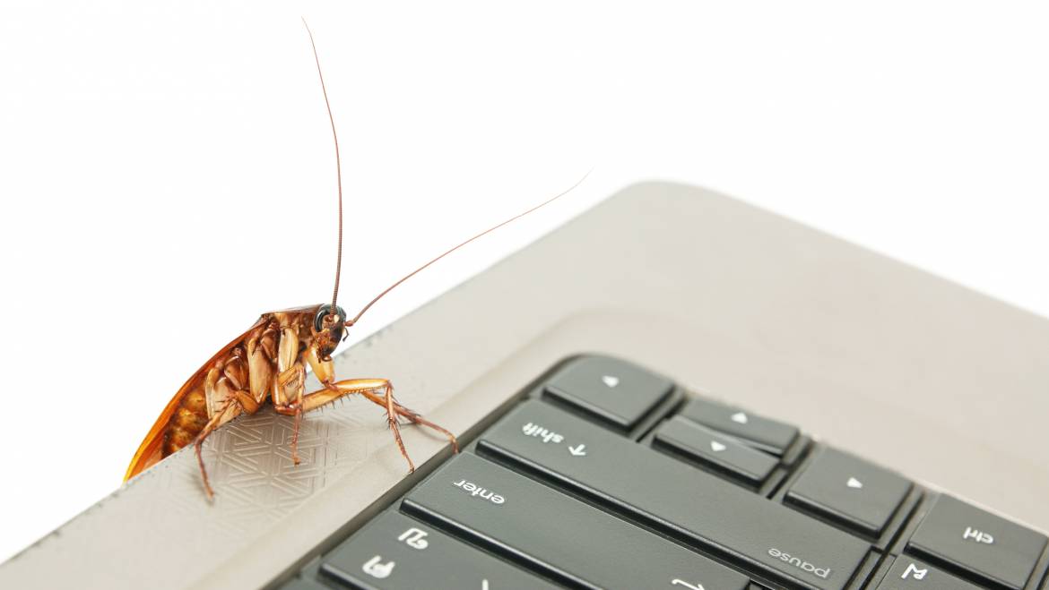 Commercial Pest Control