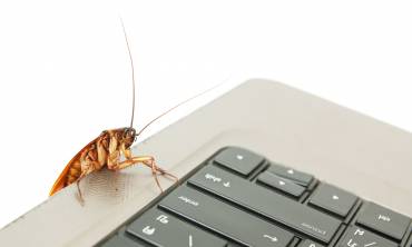 Commercial Pest Control