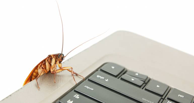 Commercial Pest Control