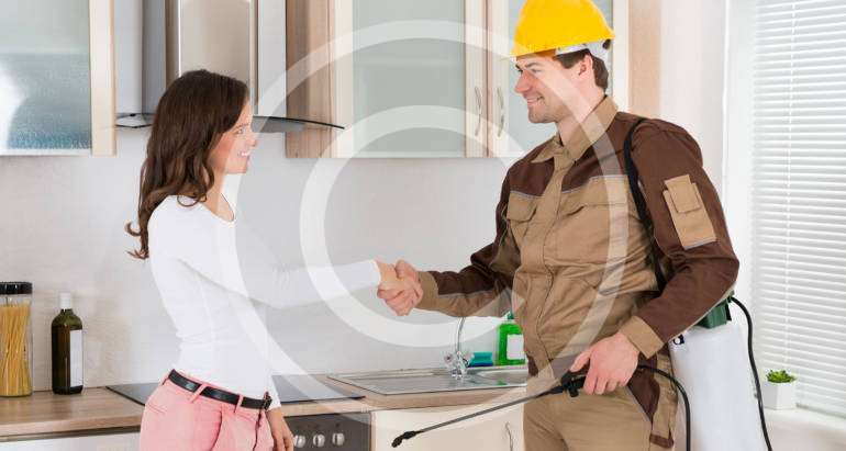 Timber Pest Inspections
